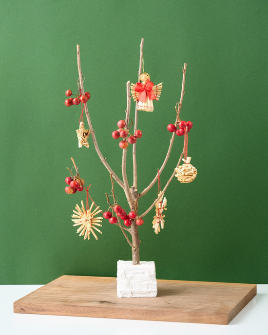 【12/10まで！】飾って楽しむ、ちいさな冬のクリスマスツリー