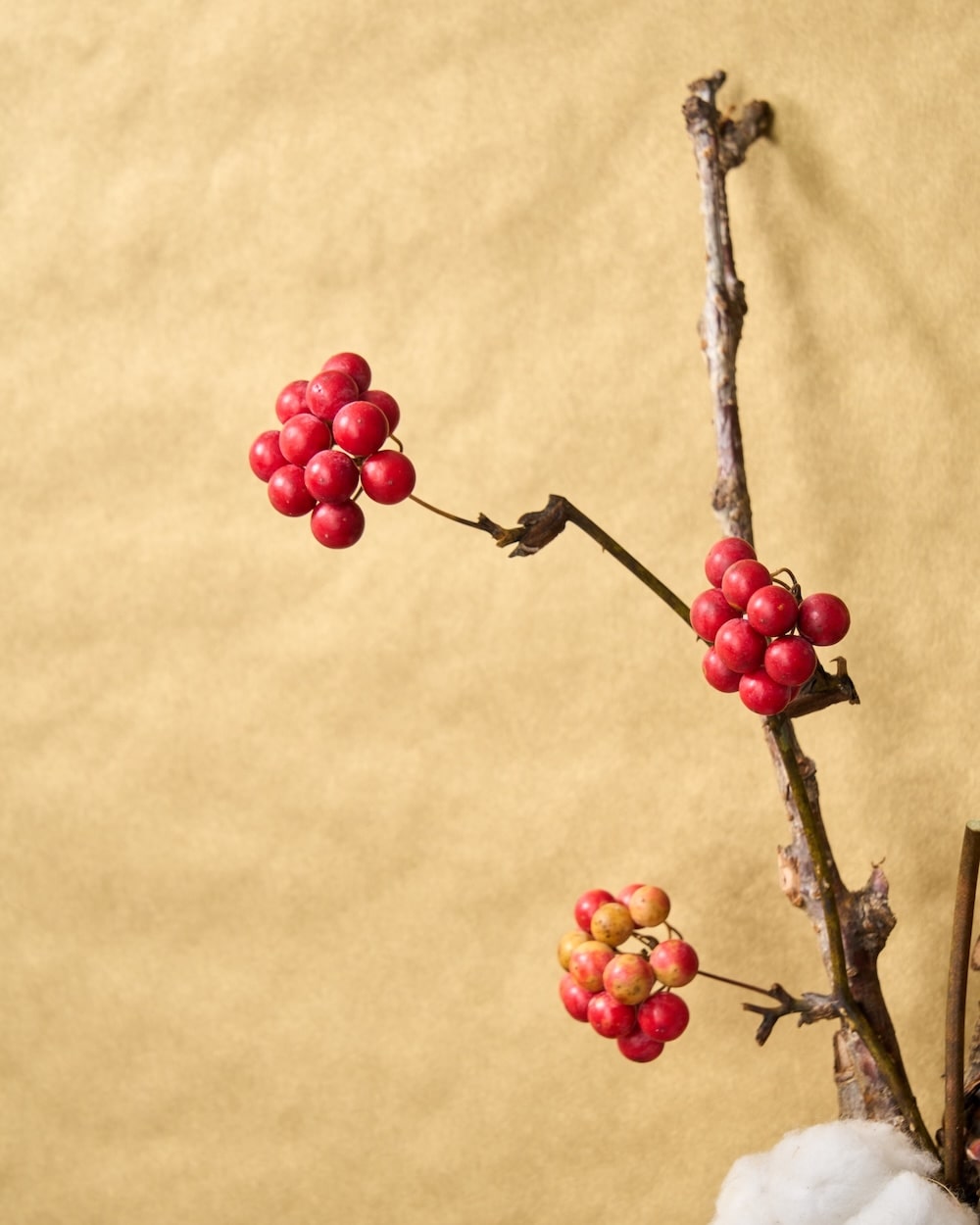 ＜春結び＞桜の枝・コットン・サンキライのお正月飾り