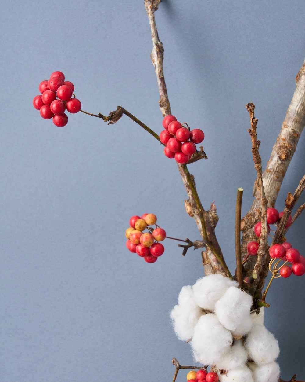 ＜春結び＞桜の枝・コットン・サンキライのお正月飾り