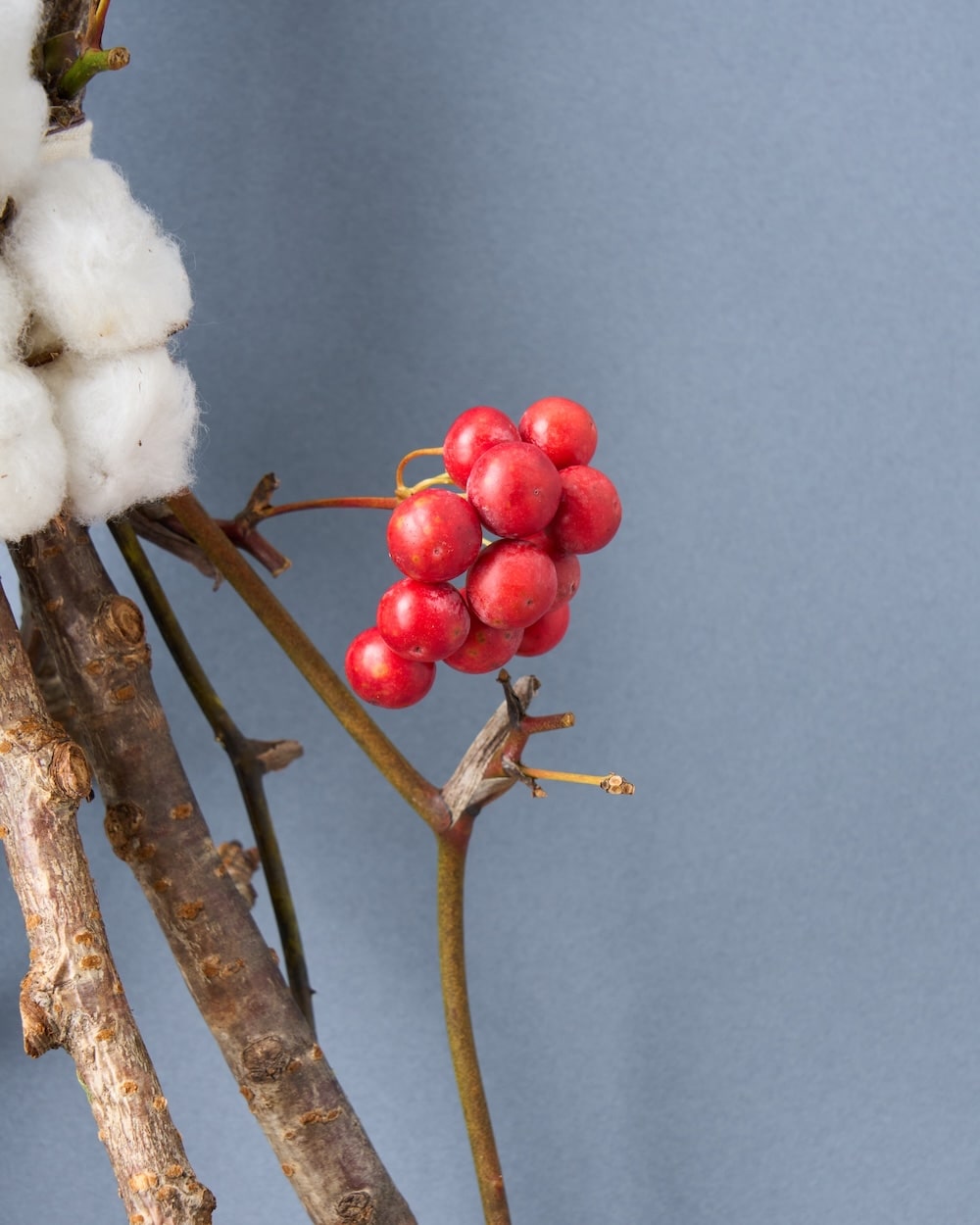 ＜春結び＞桜の枝・コットン・サンキライのお正月飾り