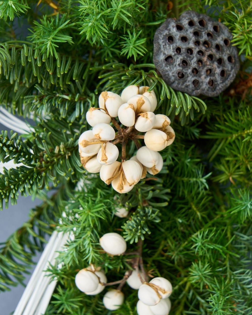 【12月中旬～順次発送】実りを結ぶ、千歳緑のお正月飾り