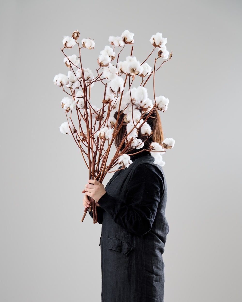 ［BIGボタニカル｜ドライ］コットンフラワー