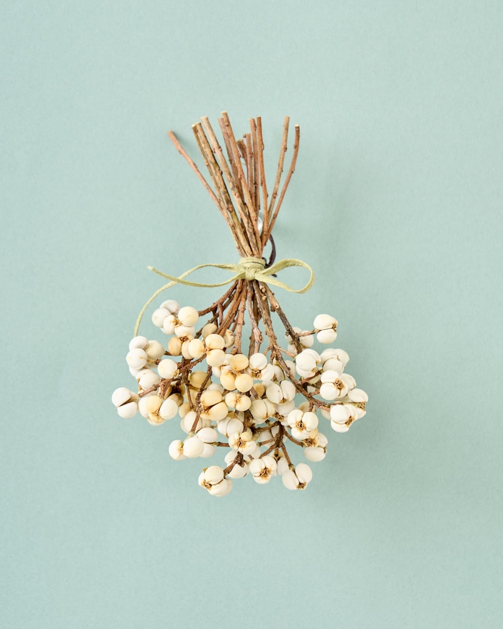 ナンキンハゼのミニブーケ 商品ページ - 土と風の植物園