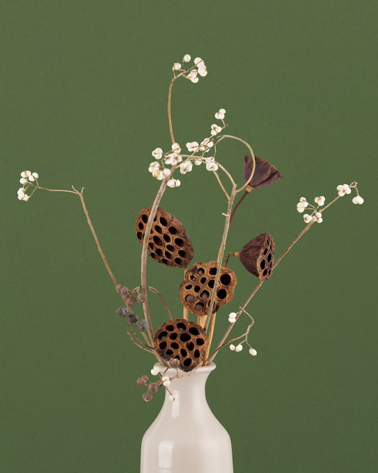 飾るだけでサマになるドライフラワーセット（ナンキンハゼ・ハス）