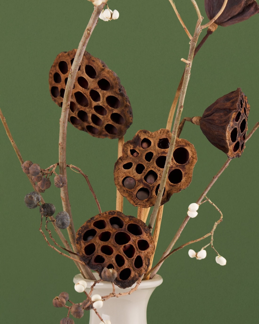 飾るだけでサマになるドライフラワーセット（ナンキンハゼ・ハス