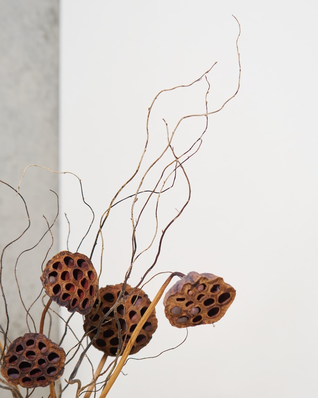 飾るだけでサマになるドライフラワーセット（雲竜柳・ハス）