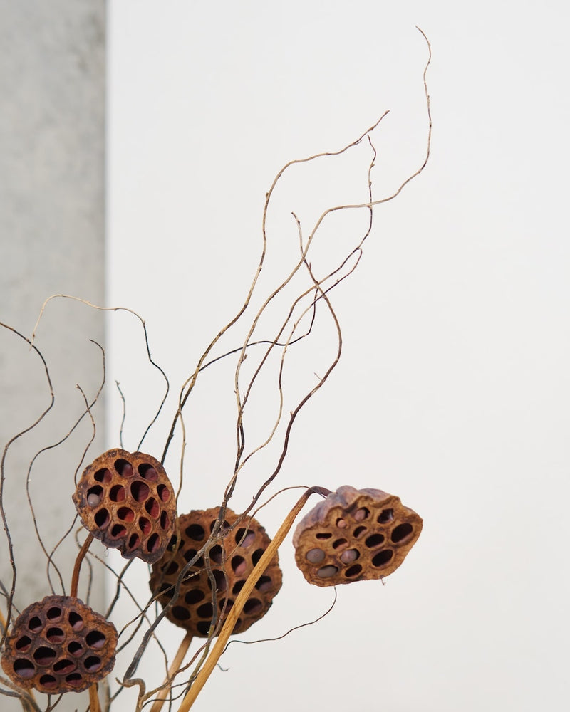 人気ナンバーワンの雲竜柳