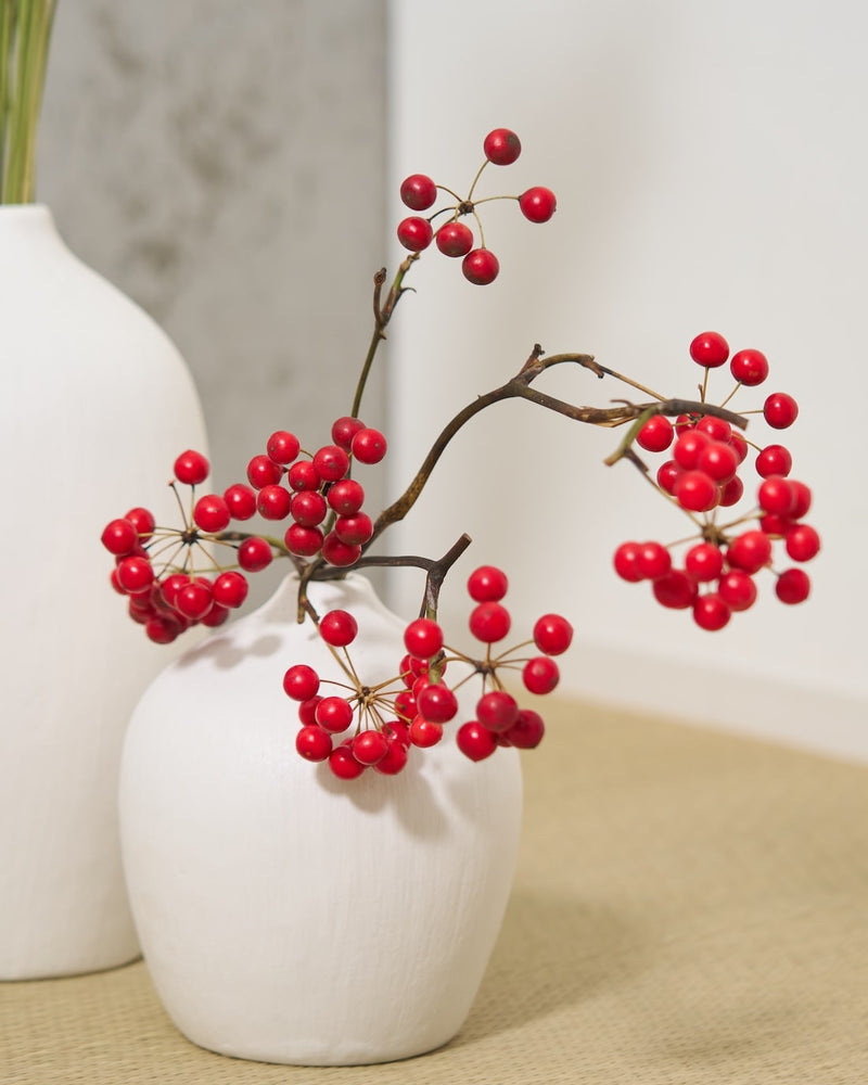 心はずむ、真っ赤なサンキライ