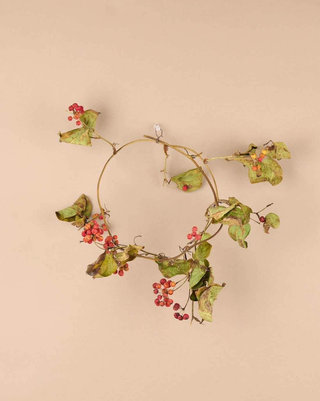 野趣あふれる、サンキライのリース 商品ページ - 土と風の植物園