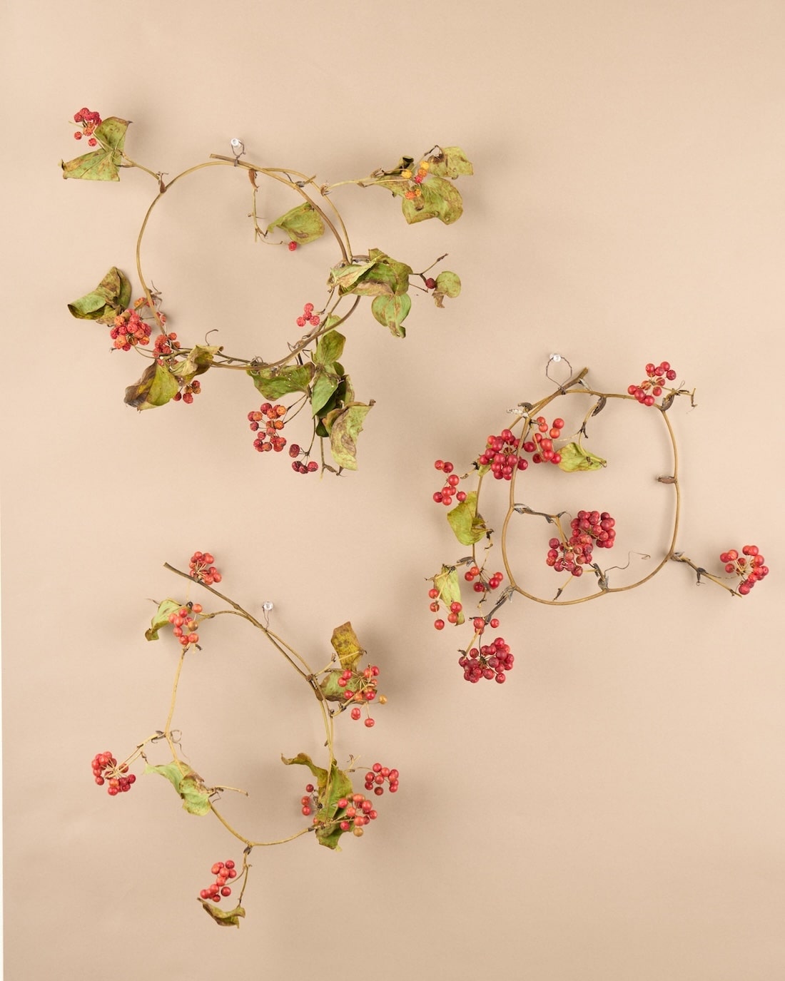 野趣あふれる、サンキライのリース 商品ページ - 土と風の植物園