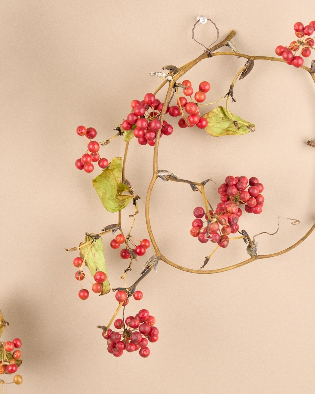 野趣あふれる、サンキライのリース 商品ページ - 土と風の植物園