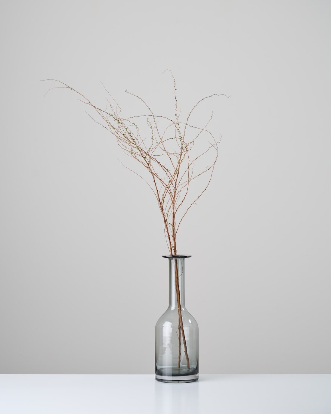 ［ドライフラワー］雪柳