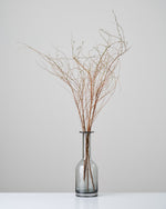 ［ドライフラワー］雪柳