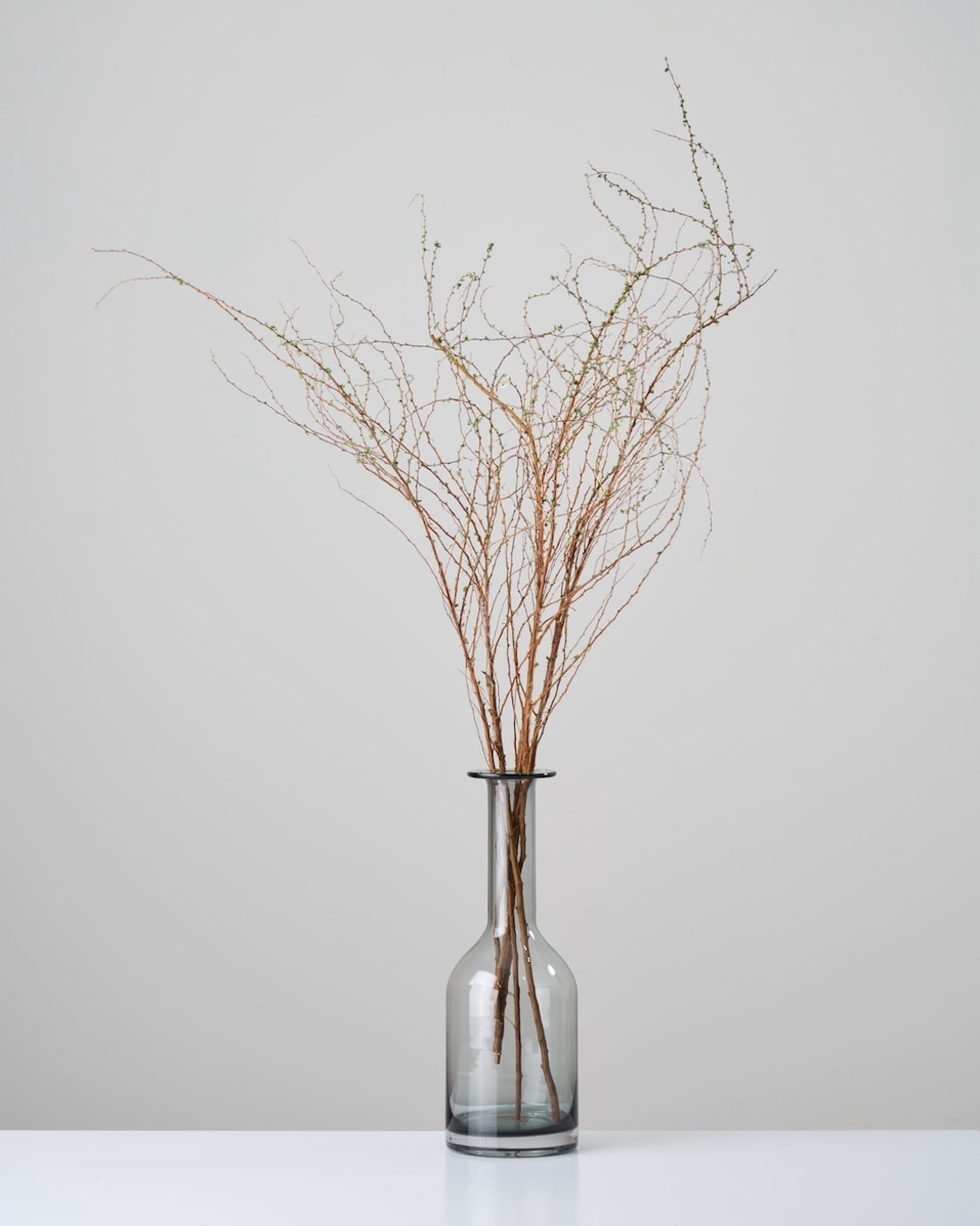 ［ドライフラワー］雪柳