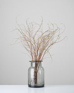 ［ドライフラワー］雪柳