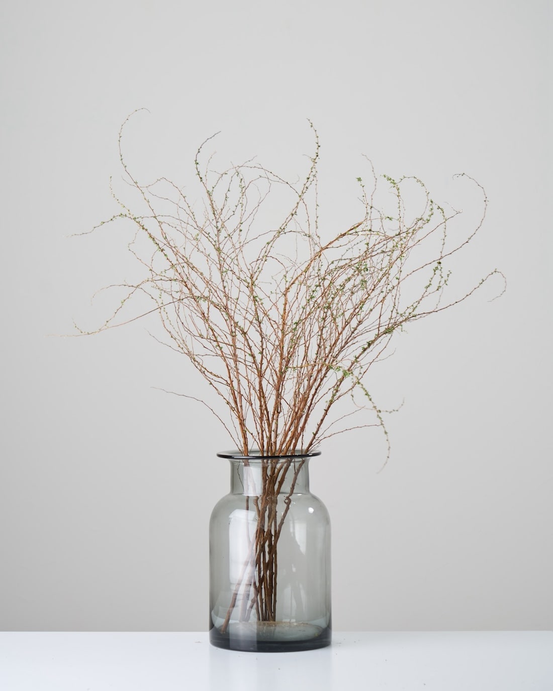 ［ドライフラワー］雪柳