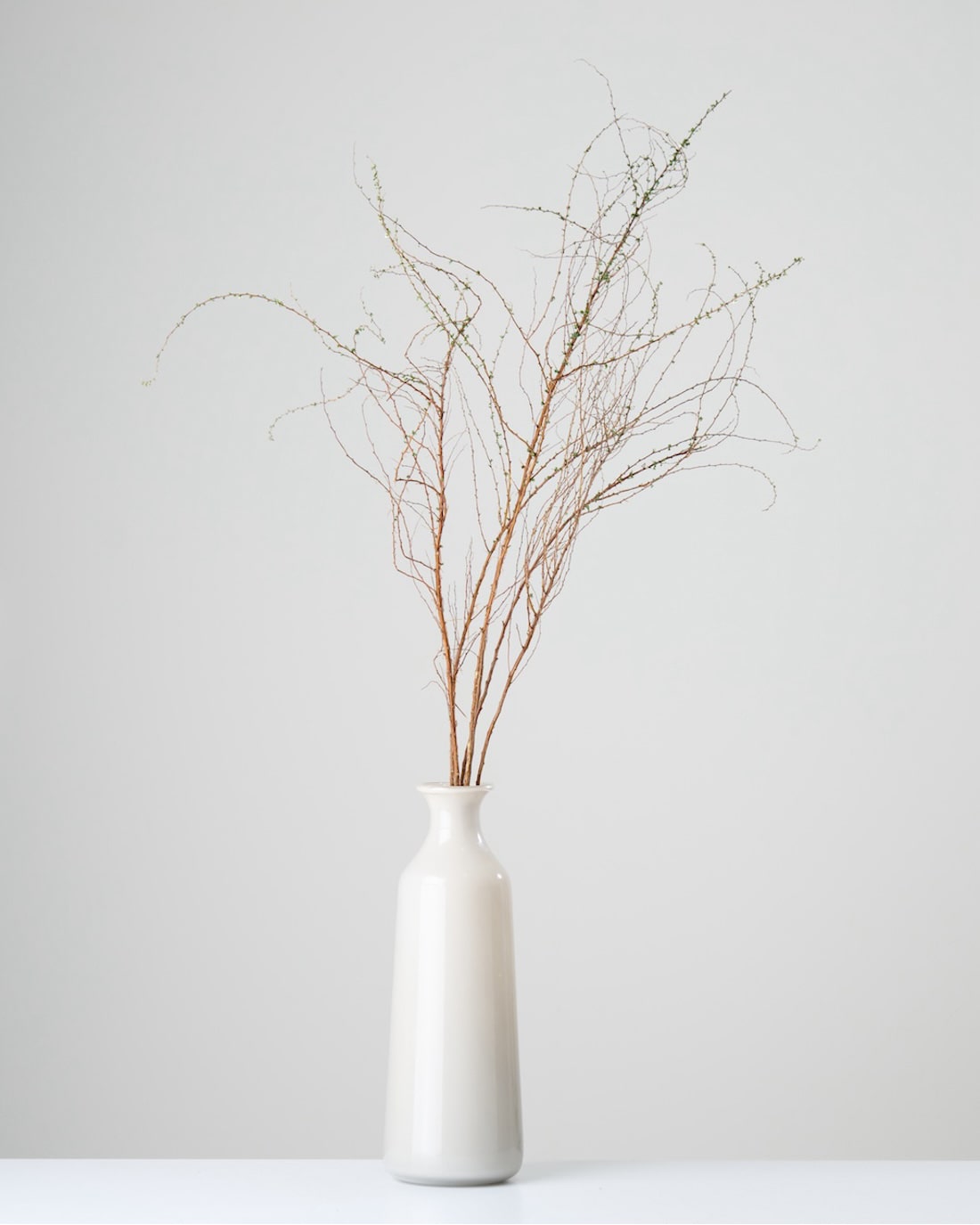 ［BIGボタニカル｜ドライ］雪柳