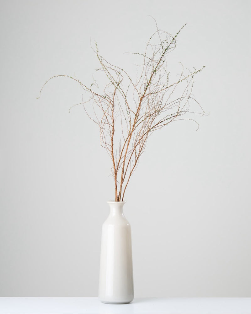 インテリアの主役やお店の装飾に　