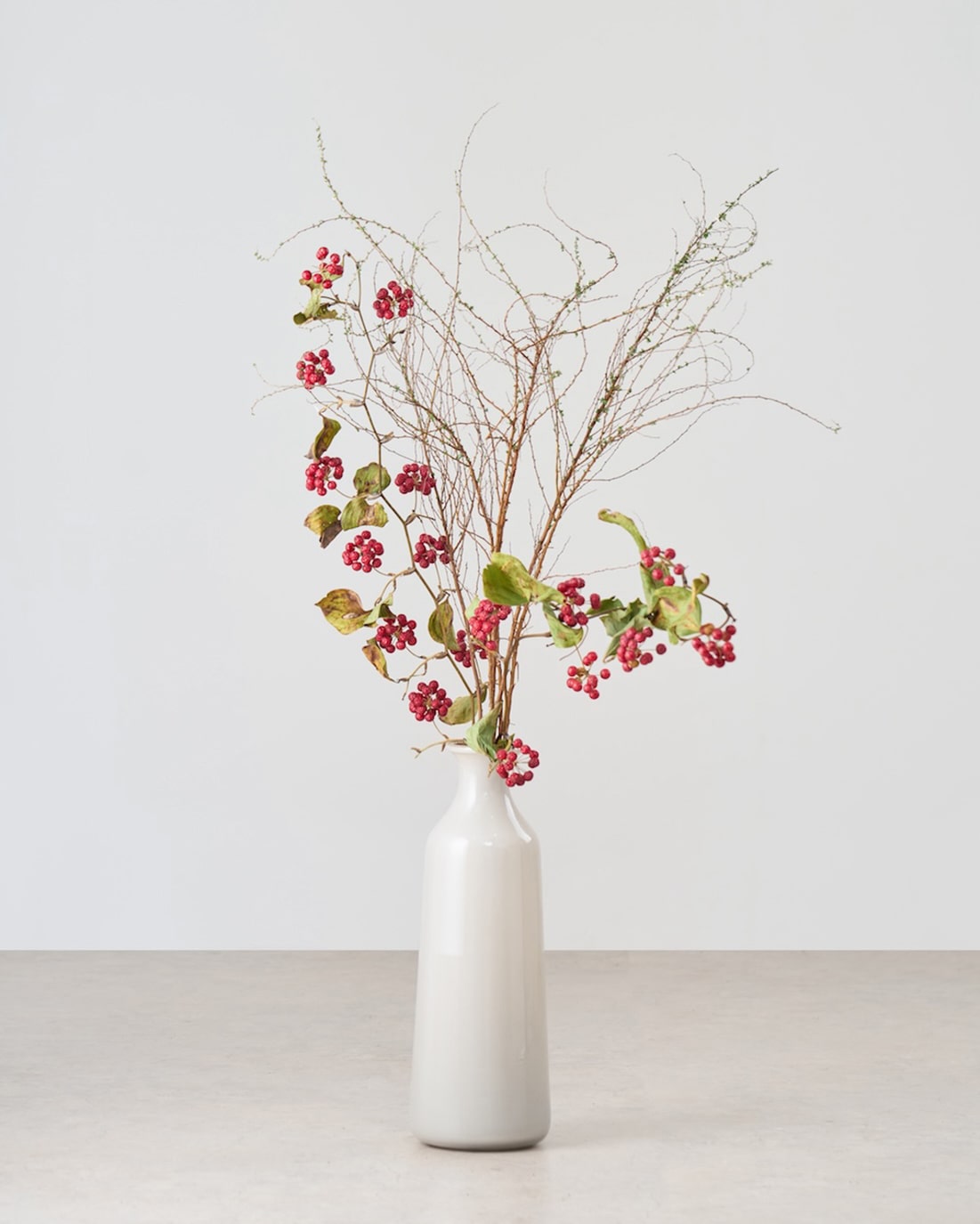 【BIGサイズ】飾るだけでサマになるドライフラワーセット（雪柳・サンキライ）