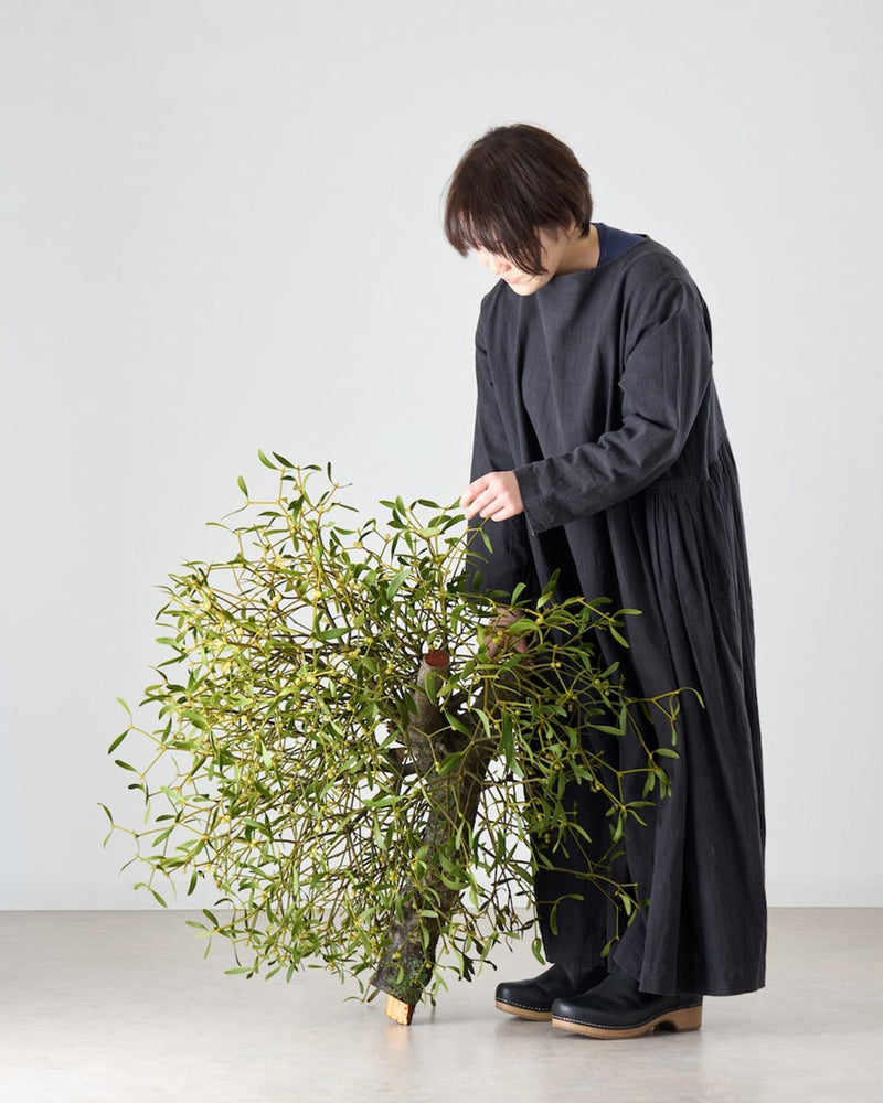 永遠の命の象徴、ヤドリギ