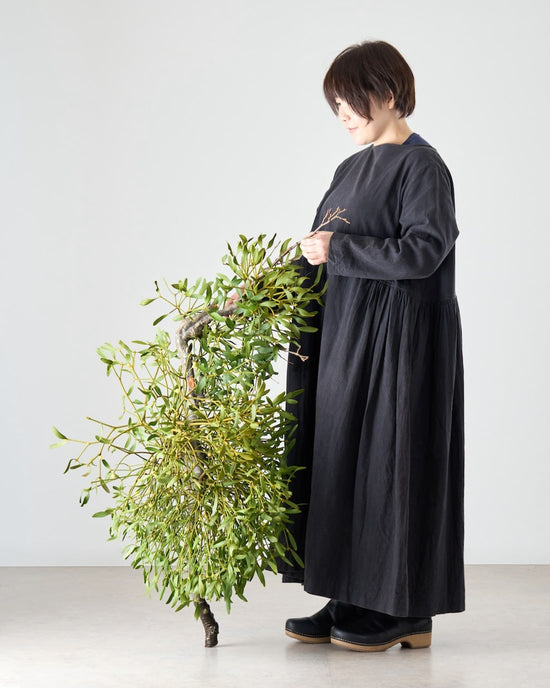 ［BIGボタニカル］ヤドリギ（フレッシュ〜ドライのお届け）