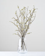 ［ドライフラワー］アオモジ（再入荷予定あり）