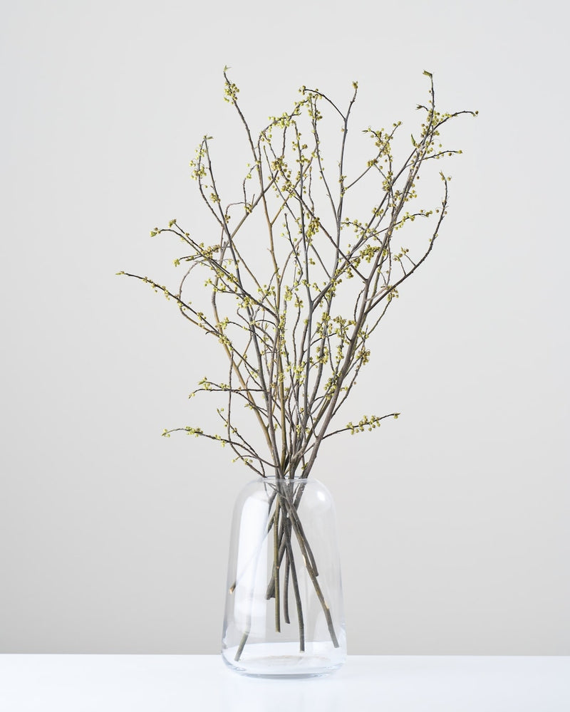 まとめ買いでお得