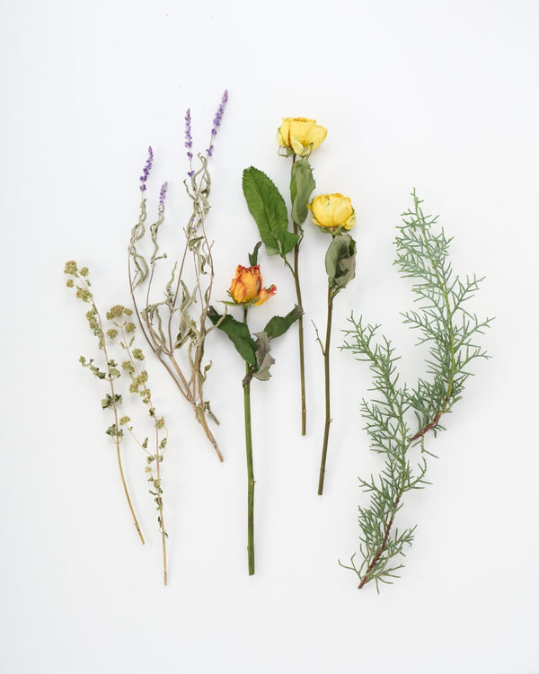 メルマガ登録はこちら！