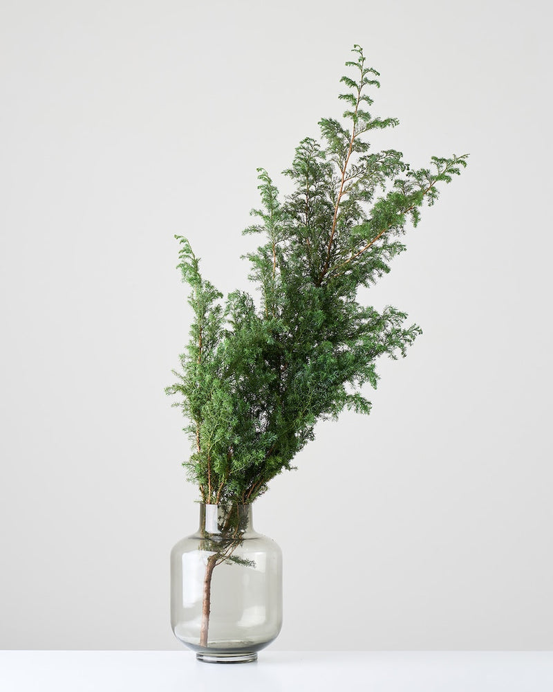 観葉植物を取り入れる感覚で飾れます