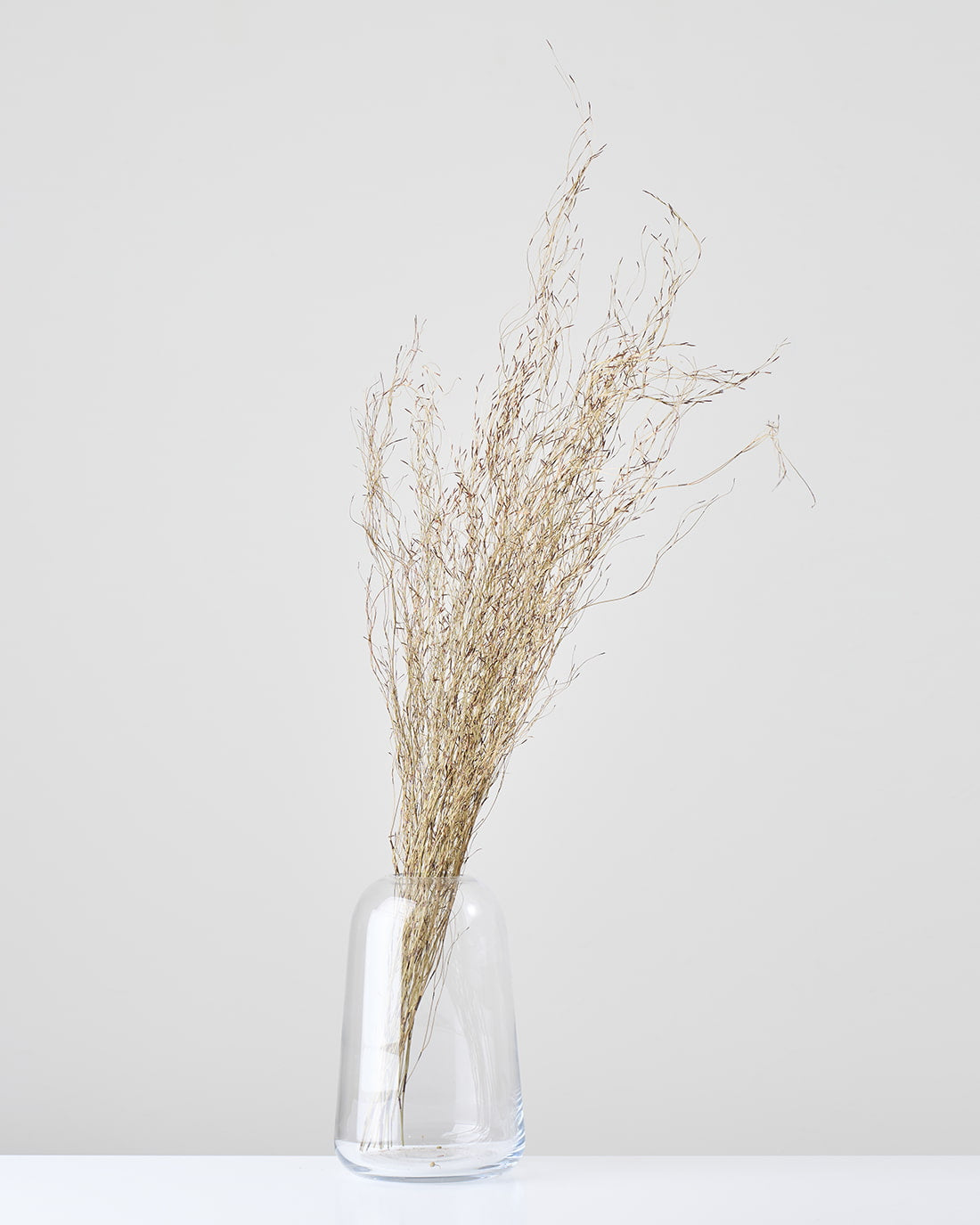 ［ドライフラワー］エミューファン