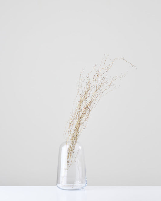 ［ドライフラワー］エミューファン