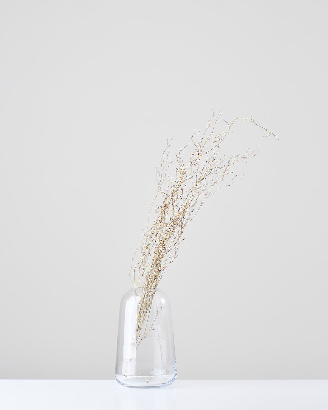 ［ドライフラワー］エミューファン