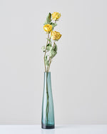 ［ドライフラワー］バラ カタリナ