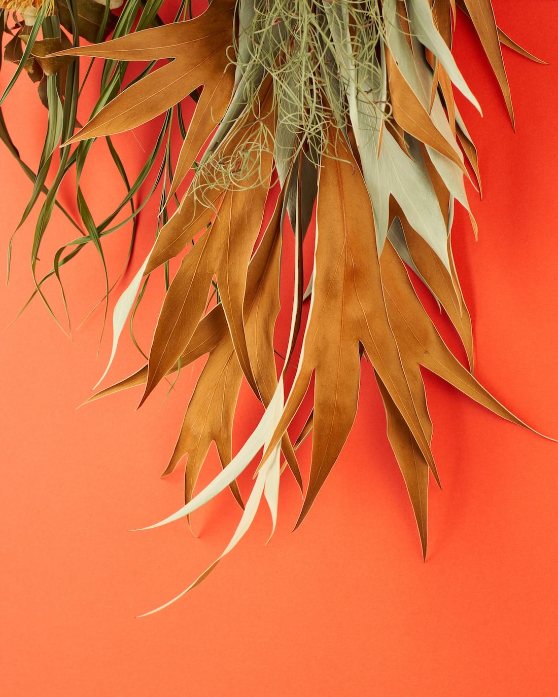 旅するスワッグ Morocco＜マラケシュの赤＞