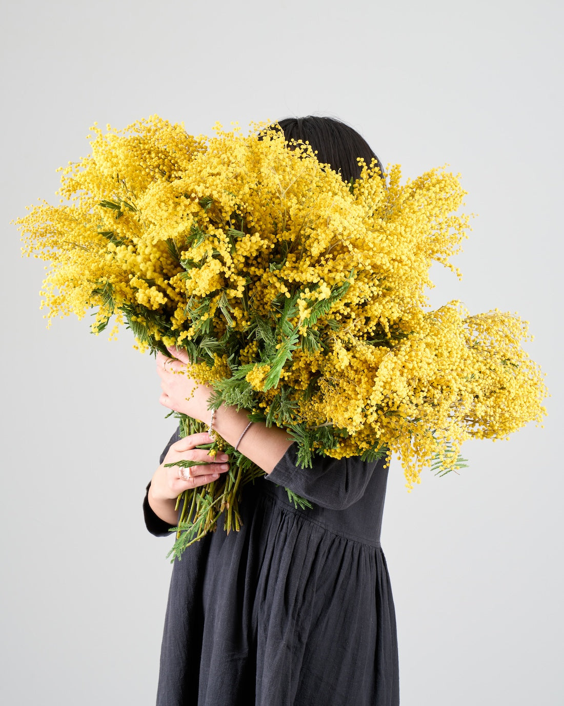 【今季終了】［フレッシュフラワー］ミモザ（フサアカシア）