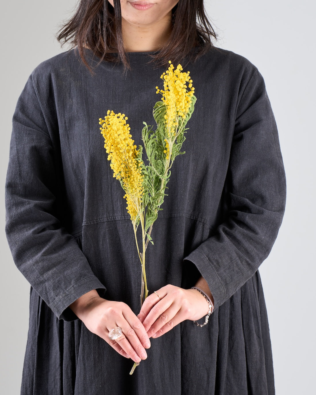 ［ドライフラワー］ミモザ（フサアカシア）