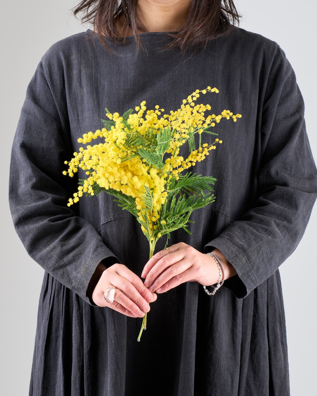 フレッシュな状態でお届け］ミモザ（フサアカシア）- 土と風の植物園