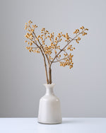 ［BIGボタニカル｜ドライ］桐