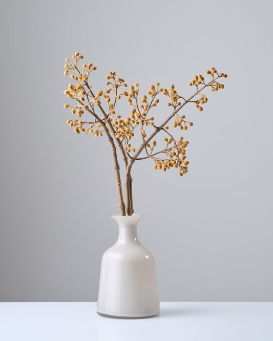 ［BIGボタニカル｜ドライ］桐