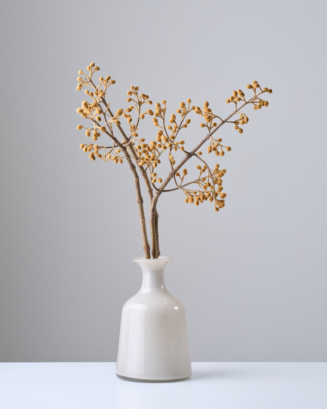 ［BIGボタニカル｜ドライ］桐