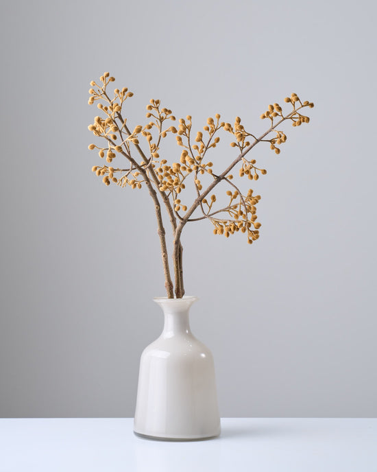 ［BIGボタニカル｜ドライ］桐