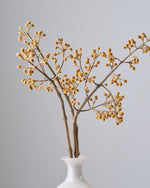 ［BIGボタニカル｜ドライ］桐