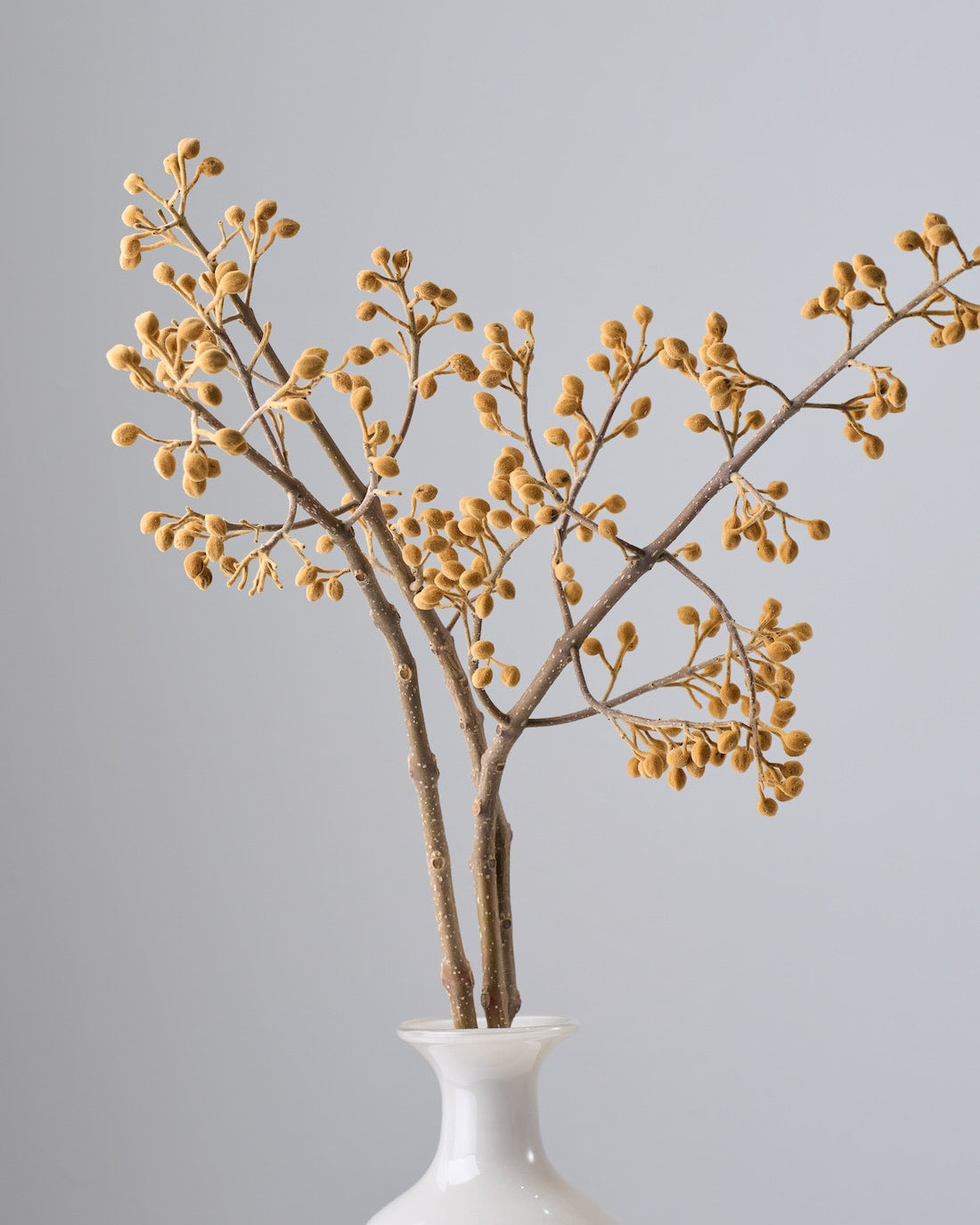 ［BIGボタニカル｜ドライ］桐