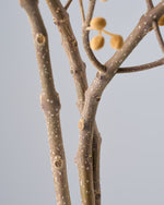 ［BIGボタニカル｜ドライ］桐