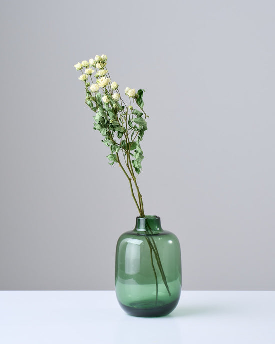 ［ドライフラワー］バラ スプレーウィット