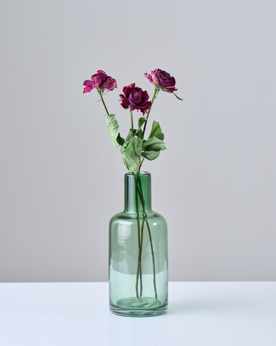 ［ドライフラワー］バラ イブピアッチェ