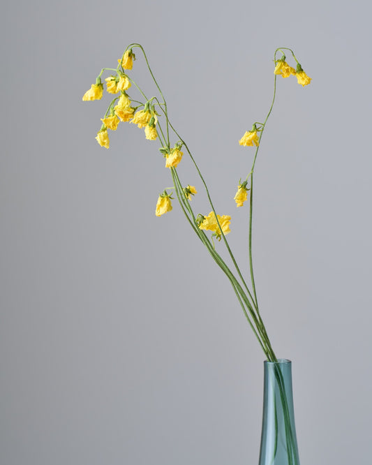 ［ドライフラワー］スイートピー