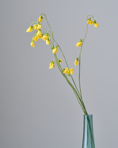 ドライフラワー］スイートピー 商品ページ - 土と風の植物園