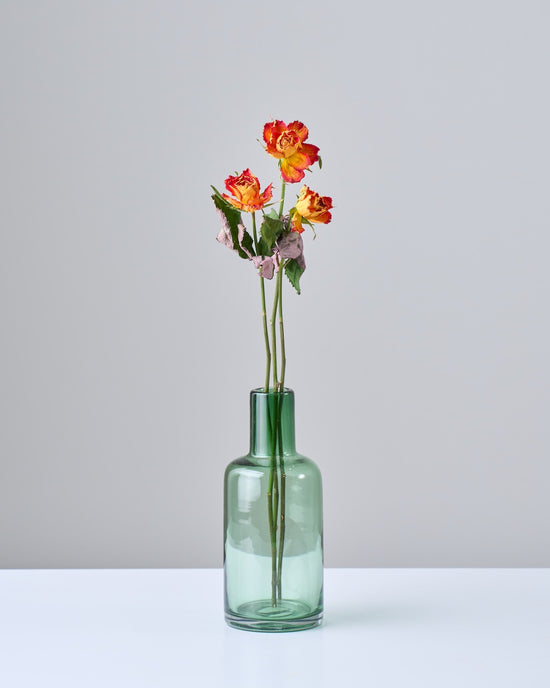 ［ドライフラワー］バラ フェスティボ