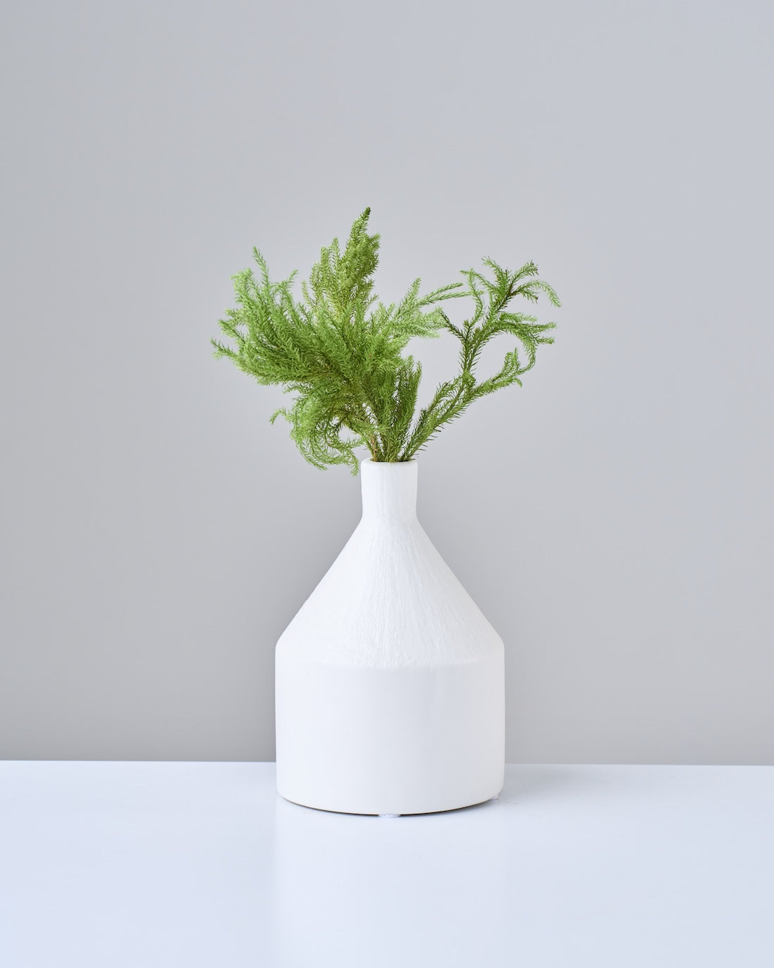 ［ドライフラワー］ヒカゲ立ちカズラ  ショート